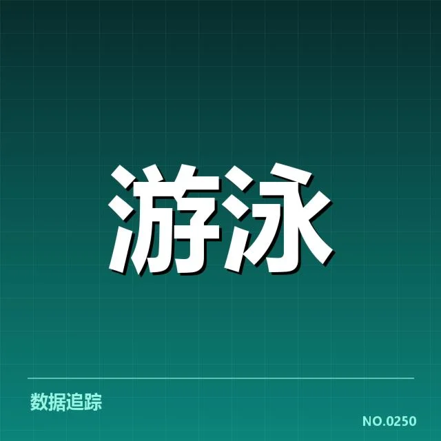 关键成绩盘点：冠军与重要选手表现一览